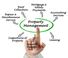 Willis and Company Commercial Property Management Services
